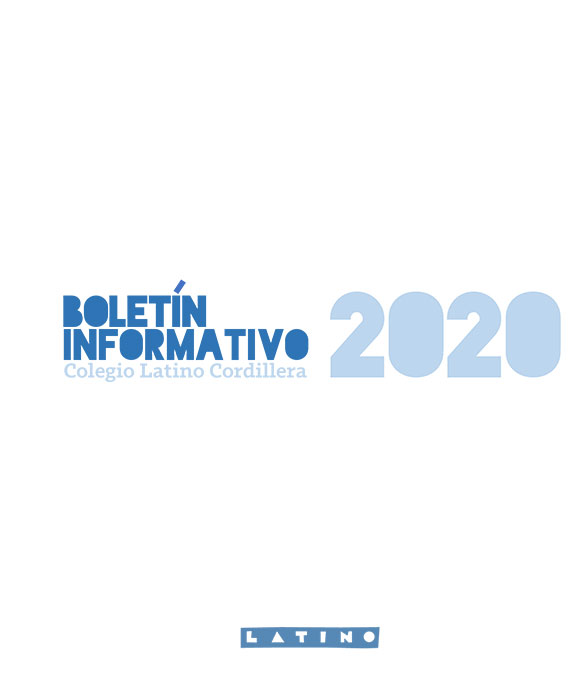 Descargar Boletín Informativo 2020